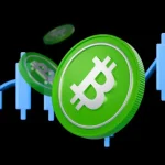 Why is Bitcoin Cash Price up Today? 